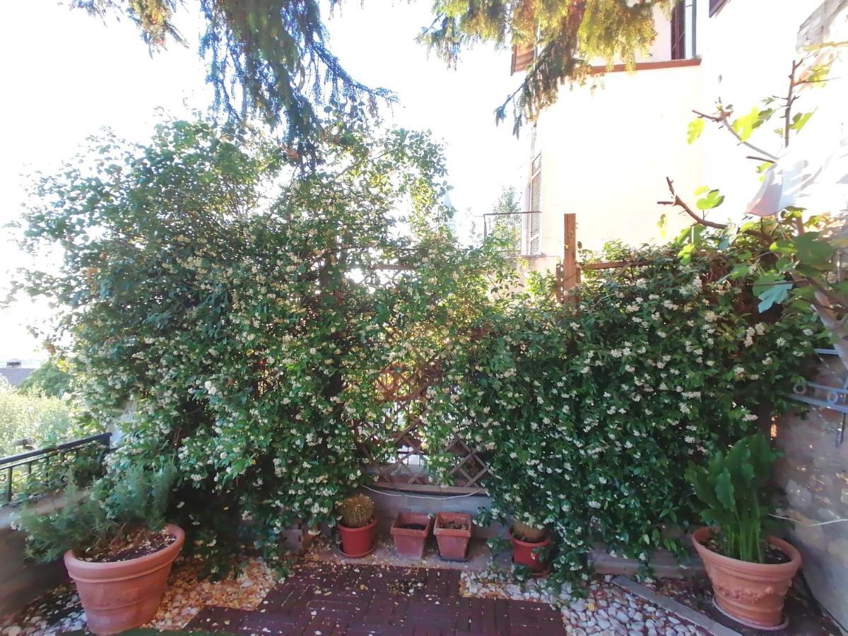 Assisi Garden Suite Exterior photo